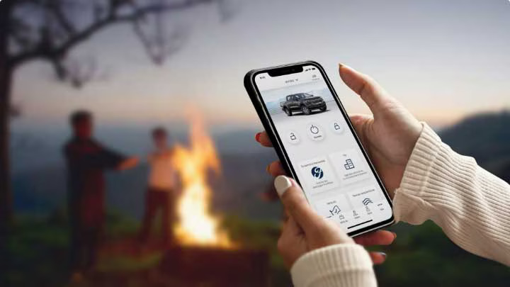 Ford assitances 24hs ford pro card